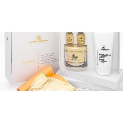 AURUM KIT PROFI